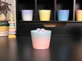 Choko Whisper Cup – Sakura in Sea Mist